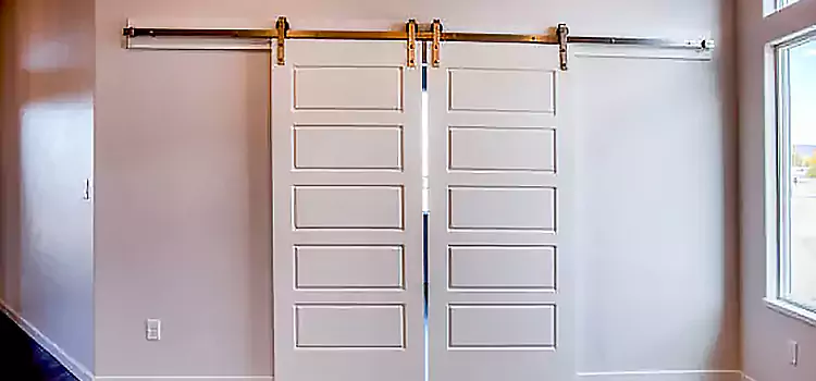 Glass Barn Door with Installation Hardware Kit Lawton