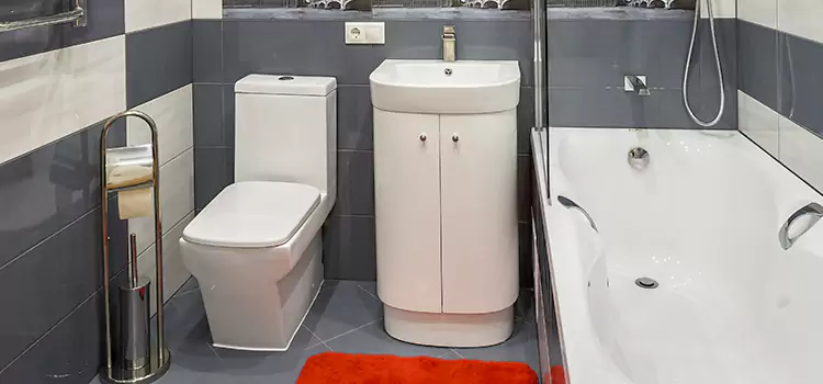 Hansgrohe Shaving Mirror Lawton
